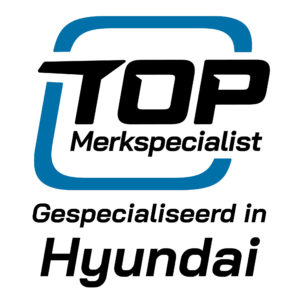 TOP Merkspecialist in Hyundai