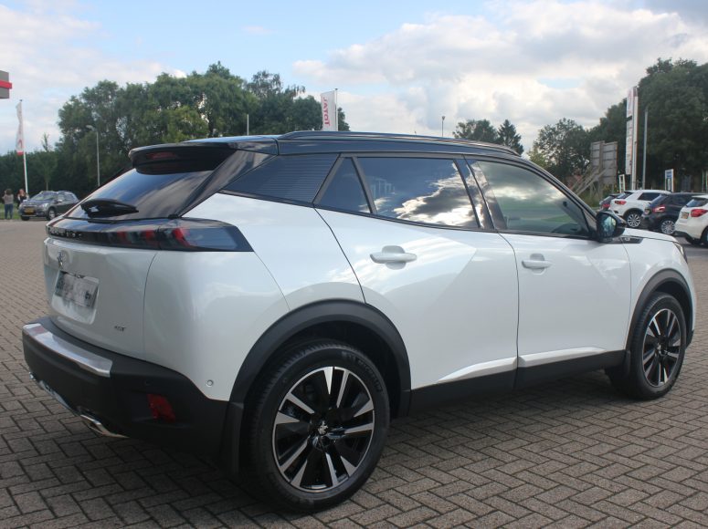 Peugeot 2008 problemen